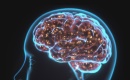 Nicotine : le piÃ¨ge invisible qui programme votre cerveau