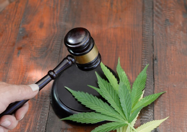 Addiction au cannabis : quand la légalisation ne change rien à la dépendance