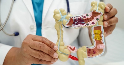 Fumer détruit vos intestins avant vos poumons : la science de l'axe intestin-poumon