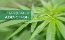 Cannabis et dépendance : Comment reconnaître les signes 