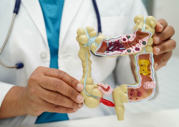 Fumer détruit vos intestins avant vos poumons : la science de l'axe intestin-poumon