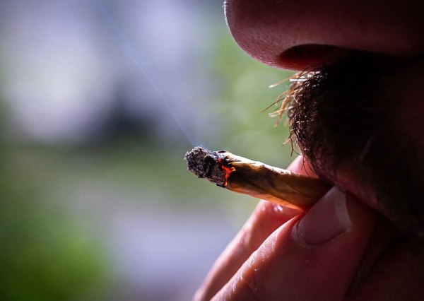 91 % des fumeurs de cannabis sont aussi accros au tabac