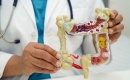 Fumer détruit vos intestins avant vos poumons : la science de l'axe intestin-poumon