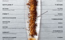 Pourquoi la cigarette est l’un des produits les plus toxiques du quotidien