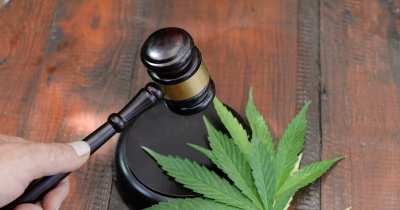 Addiction au cannabis : quand la légalisation ne change rien à la dépendance